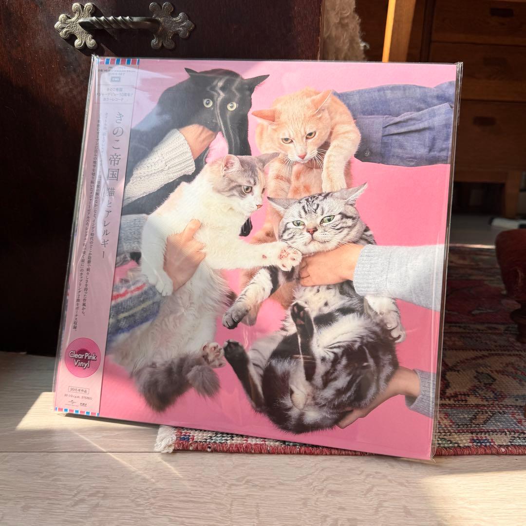 未開封・新品 きのこ帝国 猫とアレルギー クリアピンク・ヴァイナル 限定 LP 猫とアレルギー (クリアピンク・ヴァイナル)/きのこ帝国/入手困難と