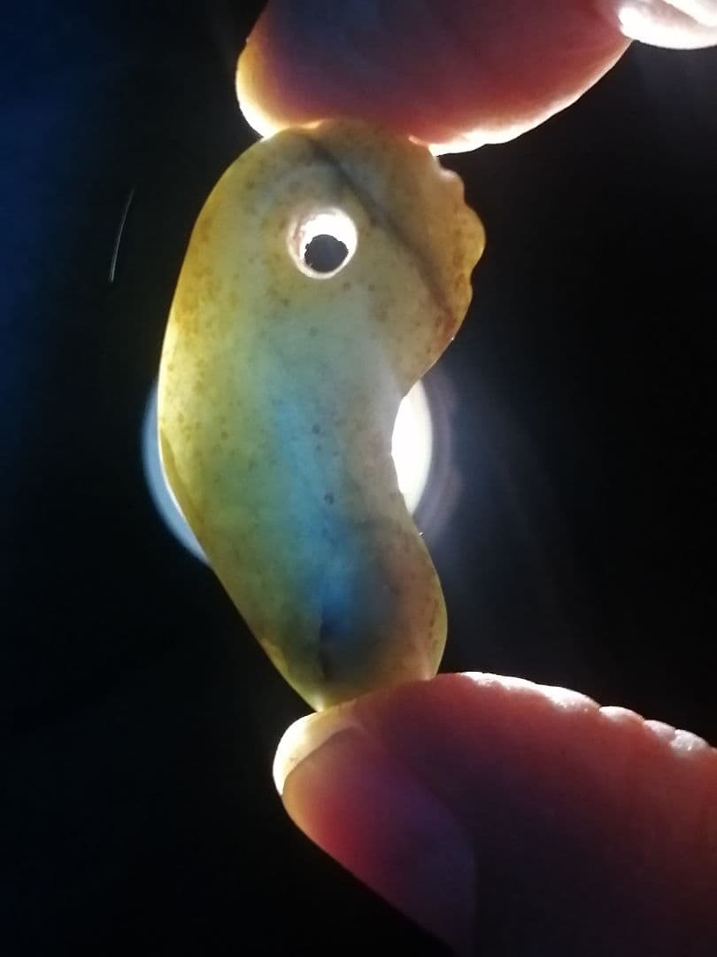 ★縄文期『古代翡翠勾玉』出土品　4.2cm 埋蔵文化財　本物の『古代翡翠』です