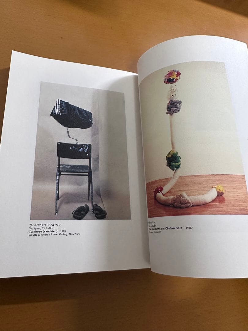 【絶版】【希少品】アート : \"芸術\"が終わった後の\"アート\"【美品】