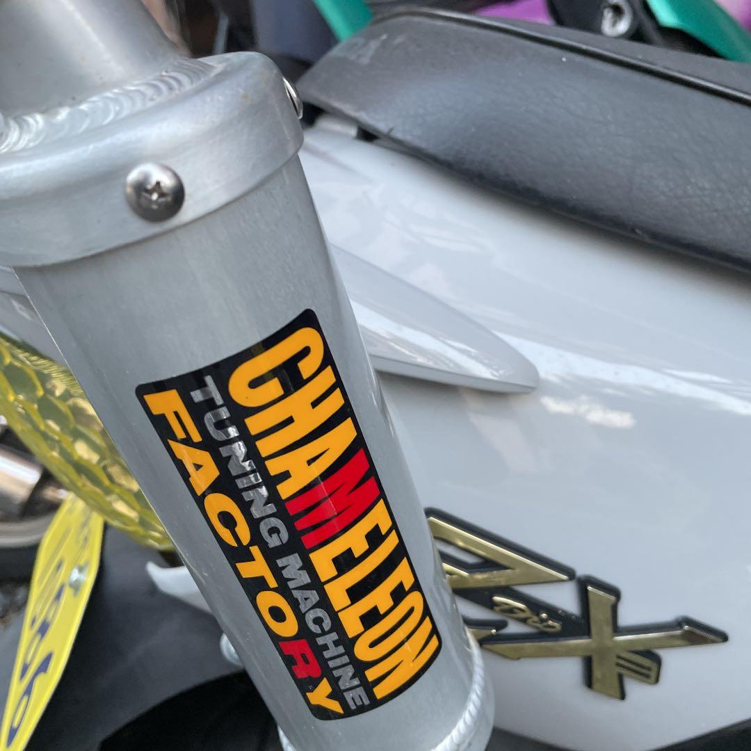 ライブディオZX カメレオンファクトリー - メルカリ