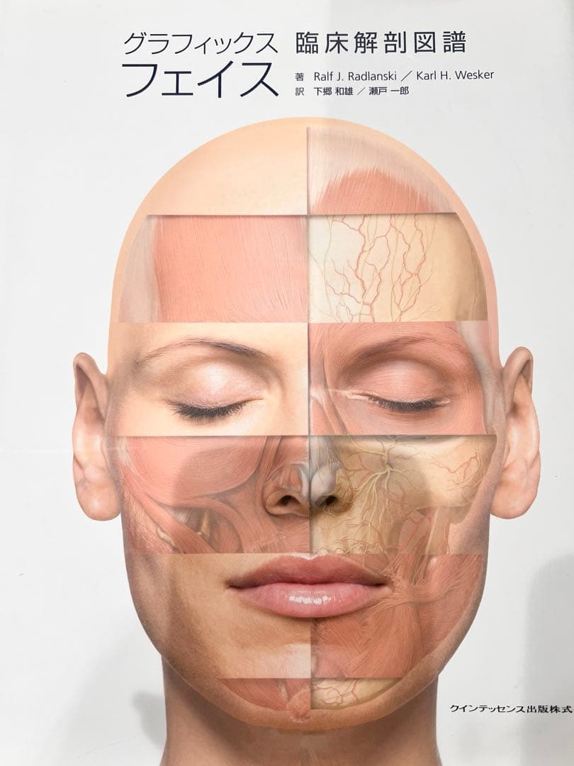 グラフィックスフェイス　解剖図譜 商品詳細ページ | メディカルブックセンター