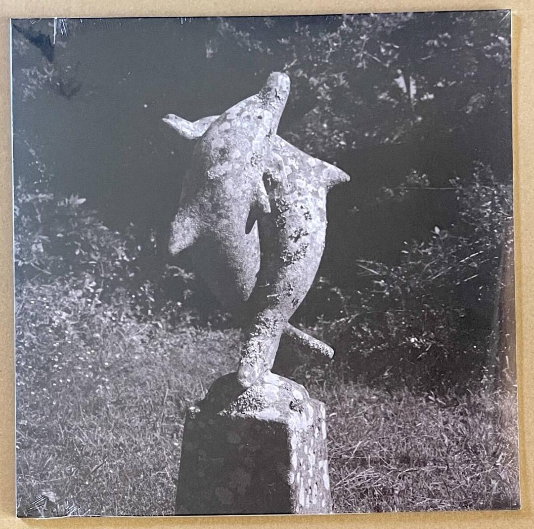 新品 送料込 青葉市子 SINGLE COLLECTION アナログ盤 レコード SINGLE COLLECTION 2020-2024 | ICHIKO AOBA WEB SHOP