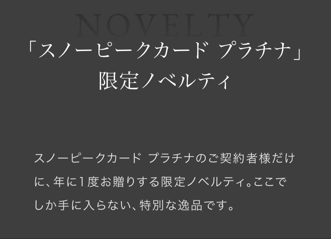 希少・非売品】スノーピーク クレカ プラチナ特典 2年分 マルナオ
