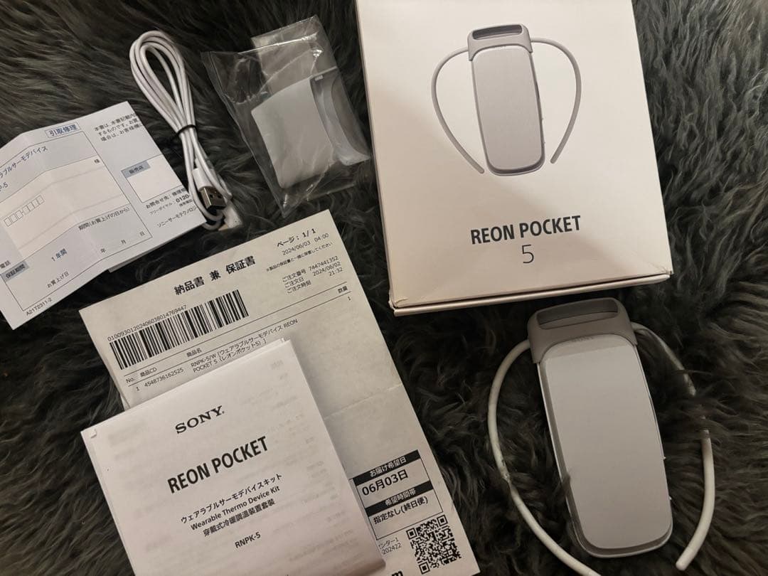 【付属品完備】SONY レオンポケット5 REON POCKET5 RNPK-5 REON POCKET（レオン ポケット） 商品一覧 | 新しいライフスタイル