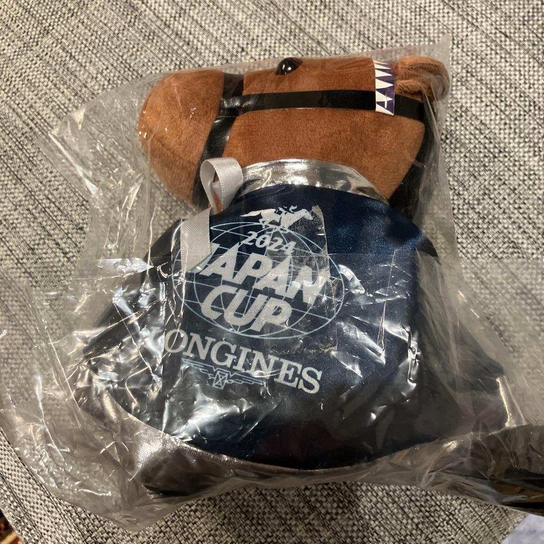 JRA ウェルカムチャンス アイドルホース ドウデュース ジャパンカップ