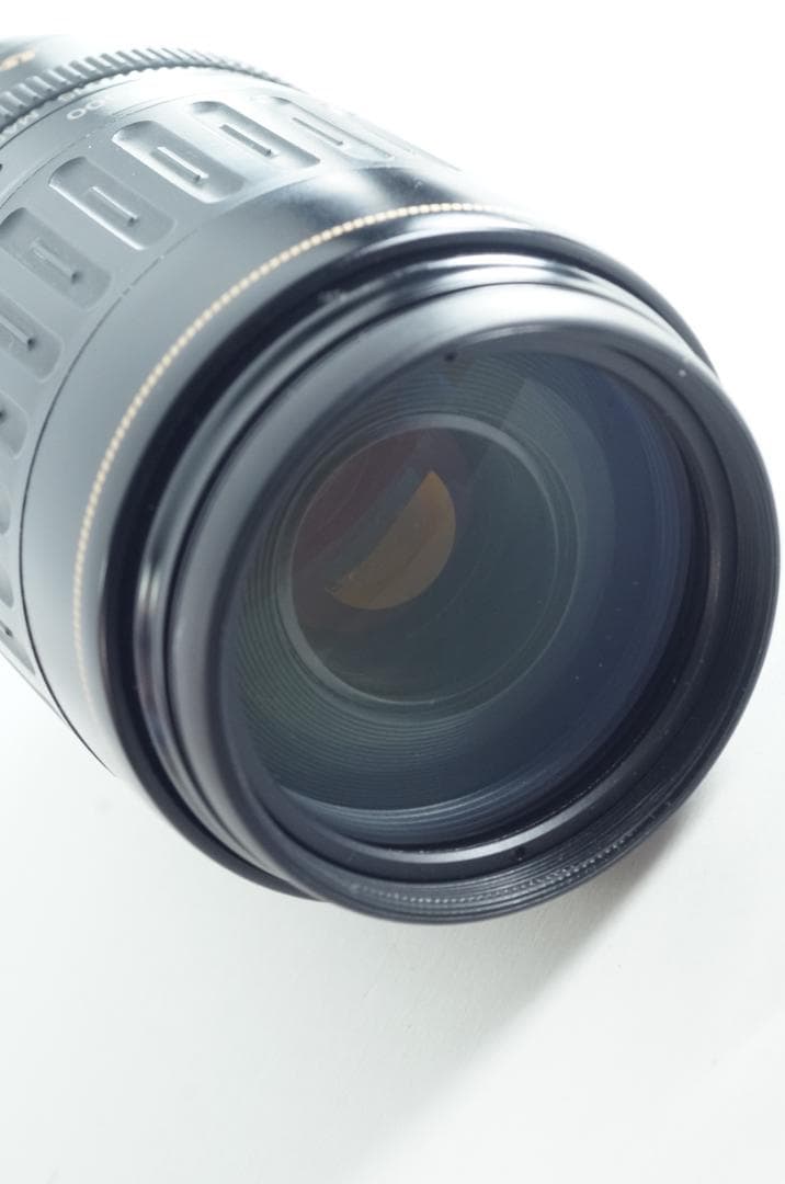 遠く 望遠レンズ Canon EF100-300mm F4.5-5.6 USM