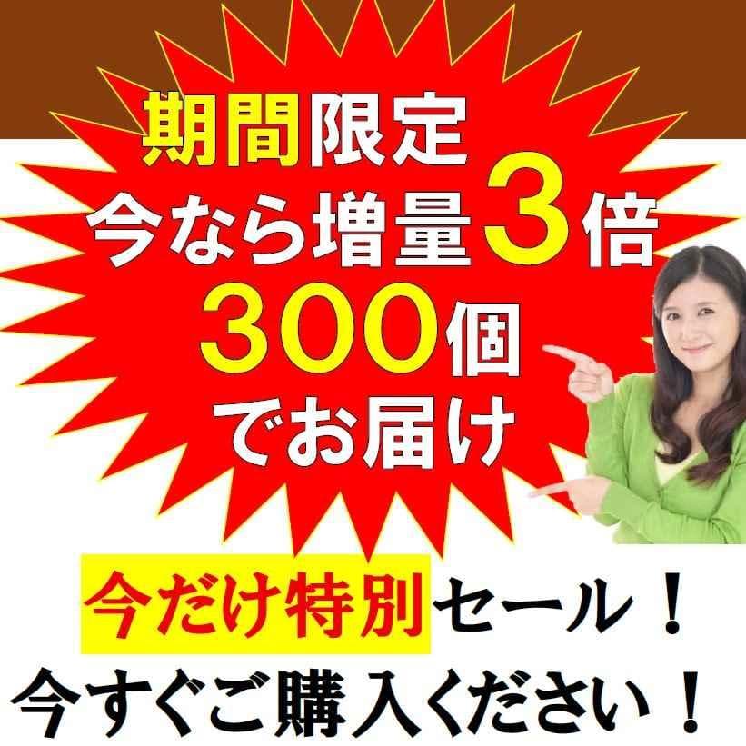 テラへルツ転写済 ゲルマニウム粒 300個 肩こり プチシルマ エレキバン
