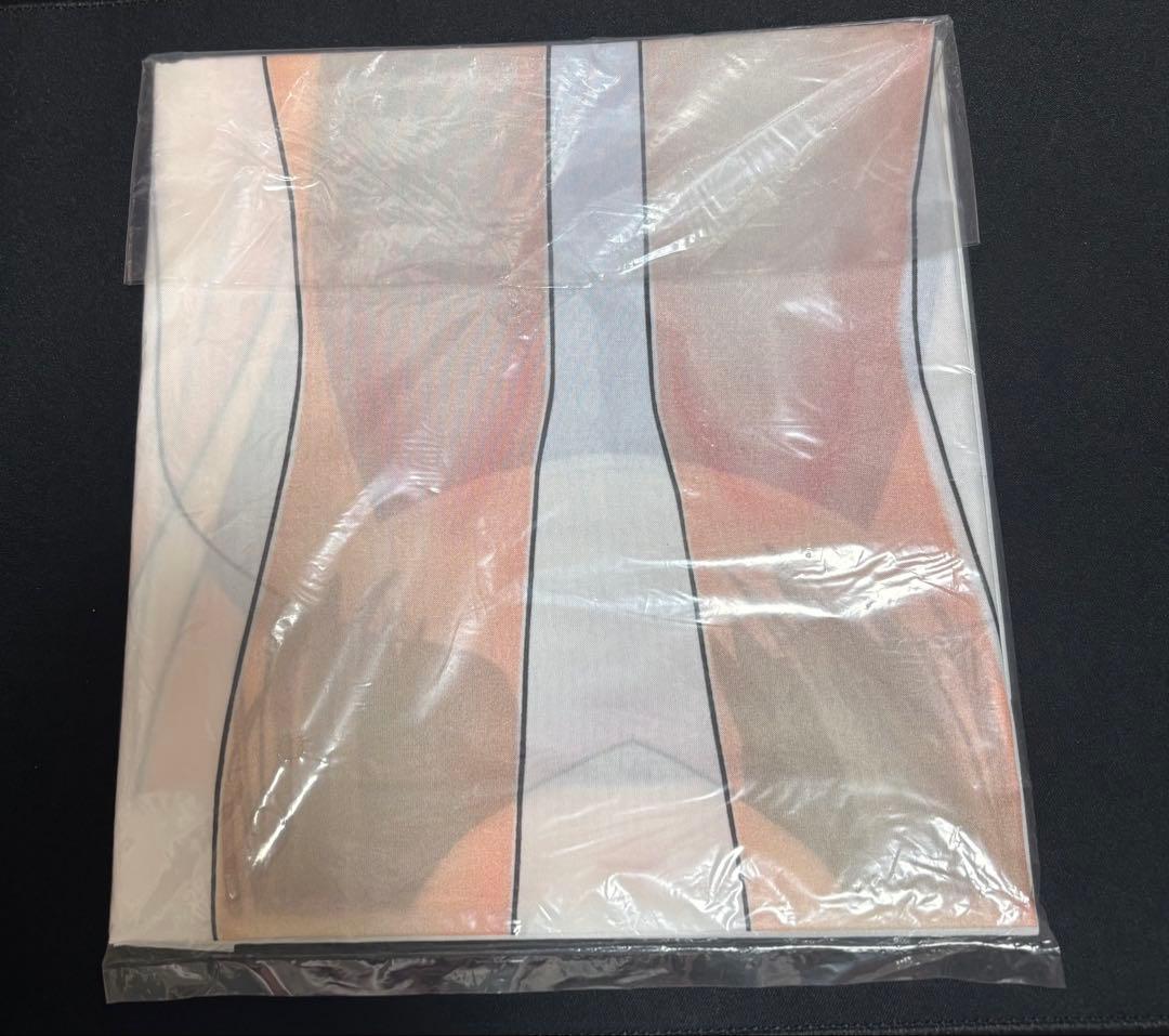 レコラヴ 等身大布ポスター 妃月凜世 【いまじん特典】 - メルカリ