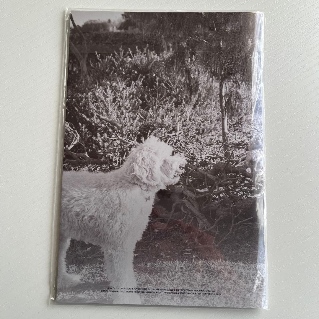 タンコン magazine ブックレット ユニットトレカ ムンビンサナ