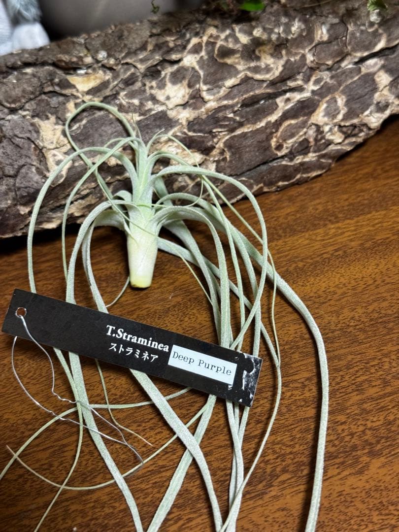 ながいながいながい