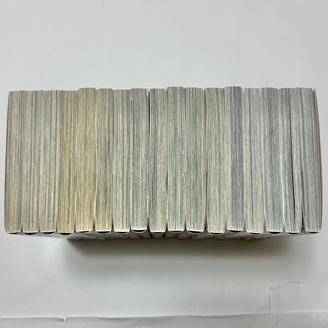 【送料込み】《17冊セット》星降る王国のニナ 1〜17巻 リカチ