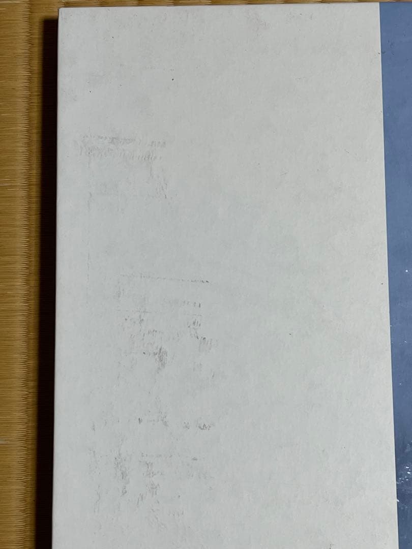 Viviane Sassen \"PARASOMNIA\" 初版