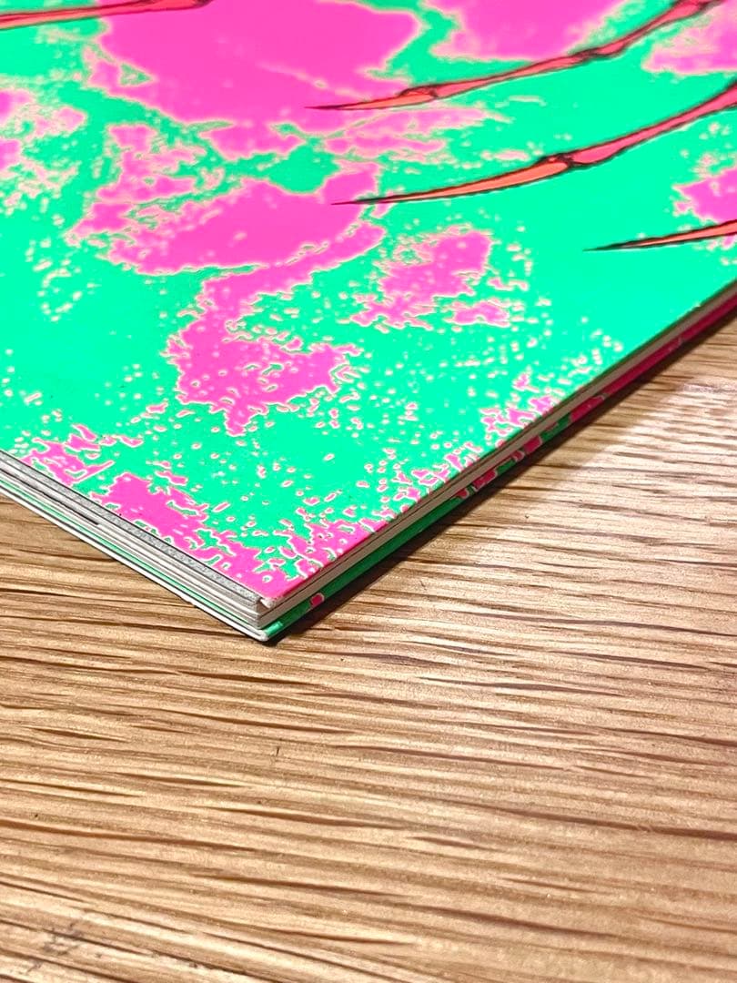 PUSHEADパスヘッドSKELETAL画集 作品集 直筆サイン入り限定997部