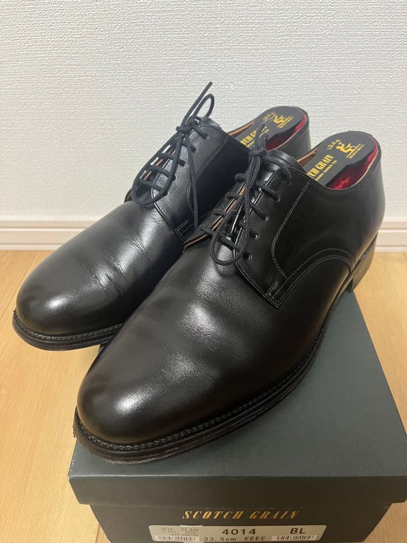 ゾンネストラール サナトリウム 近代建築の歴史と修復