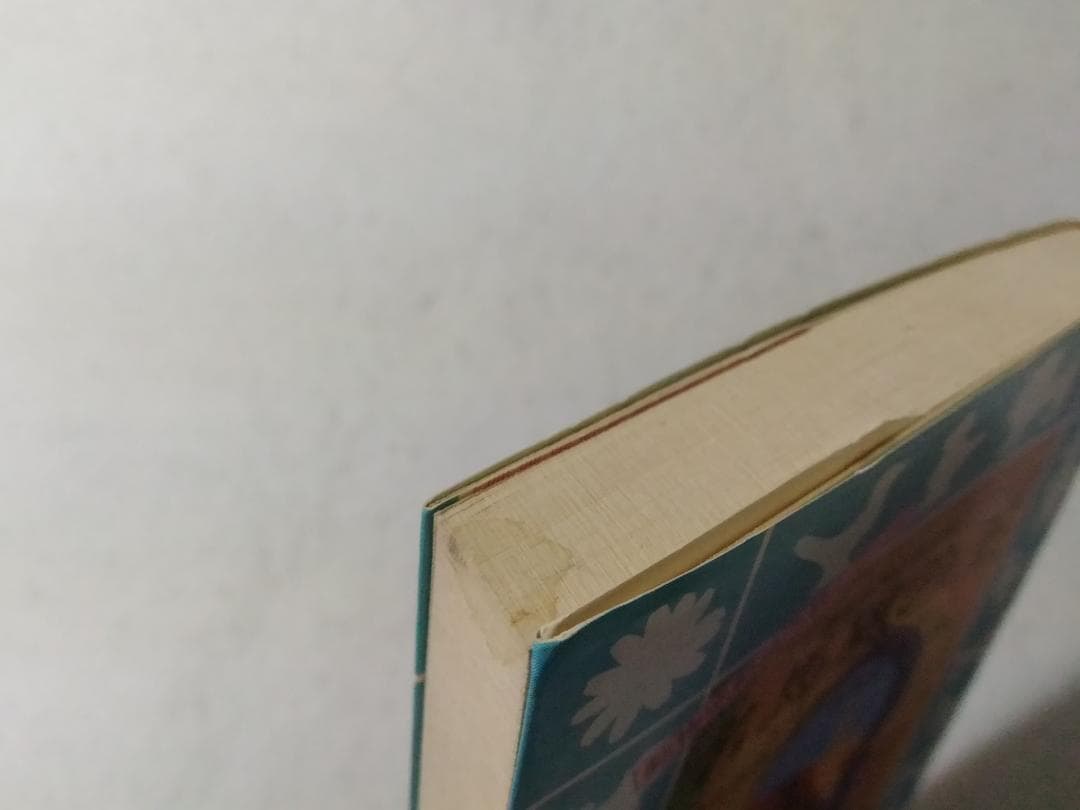 名馬風の王 青い鳥文庫 動物感動読み物シリーズ □2200/ 名馬風の