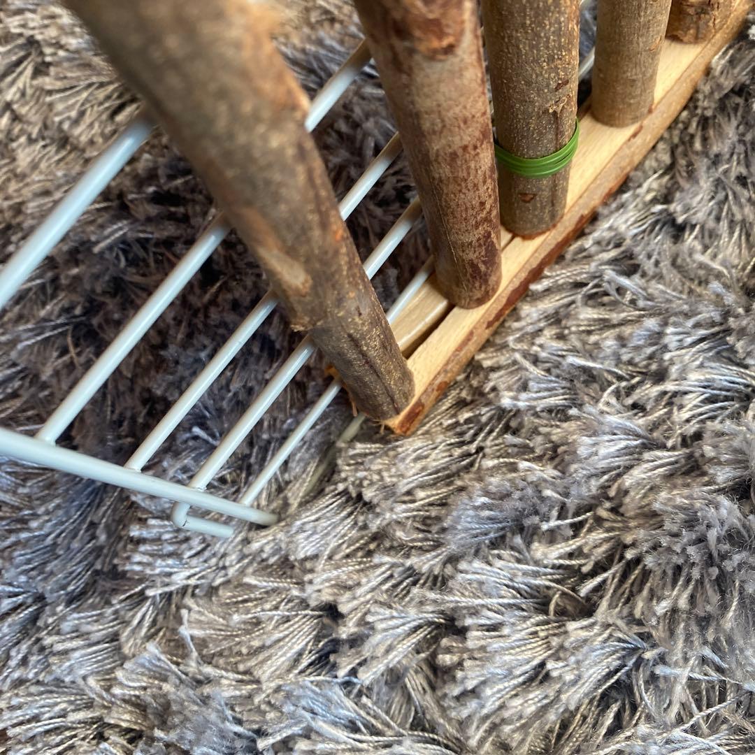 サンコー うさぎケージ 80 キャスター付き ホワイトケージ かじり棒付き