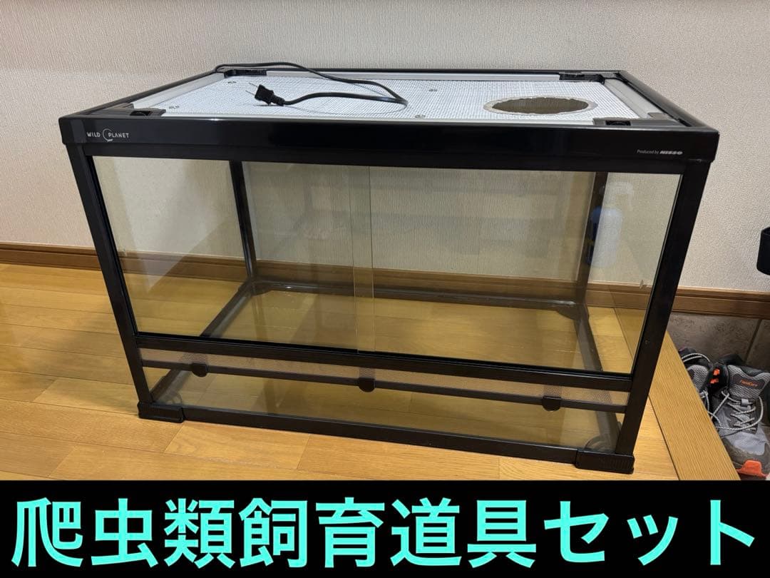 WildPlanet850ケース他フトアゴヒゲトカゲ飼育セット（現地引渡し） WildPlanet850ケース他フトアゴヒゲトカゲ飼育セット（現地引渡し