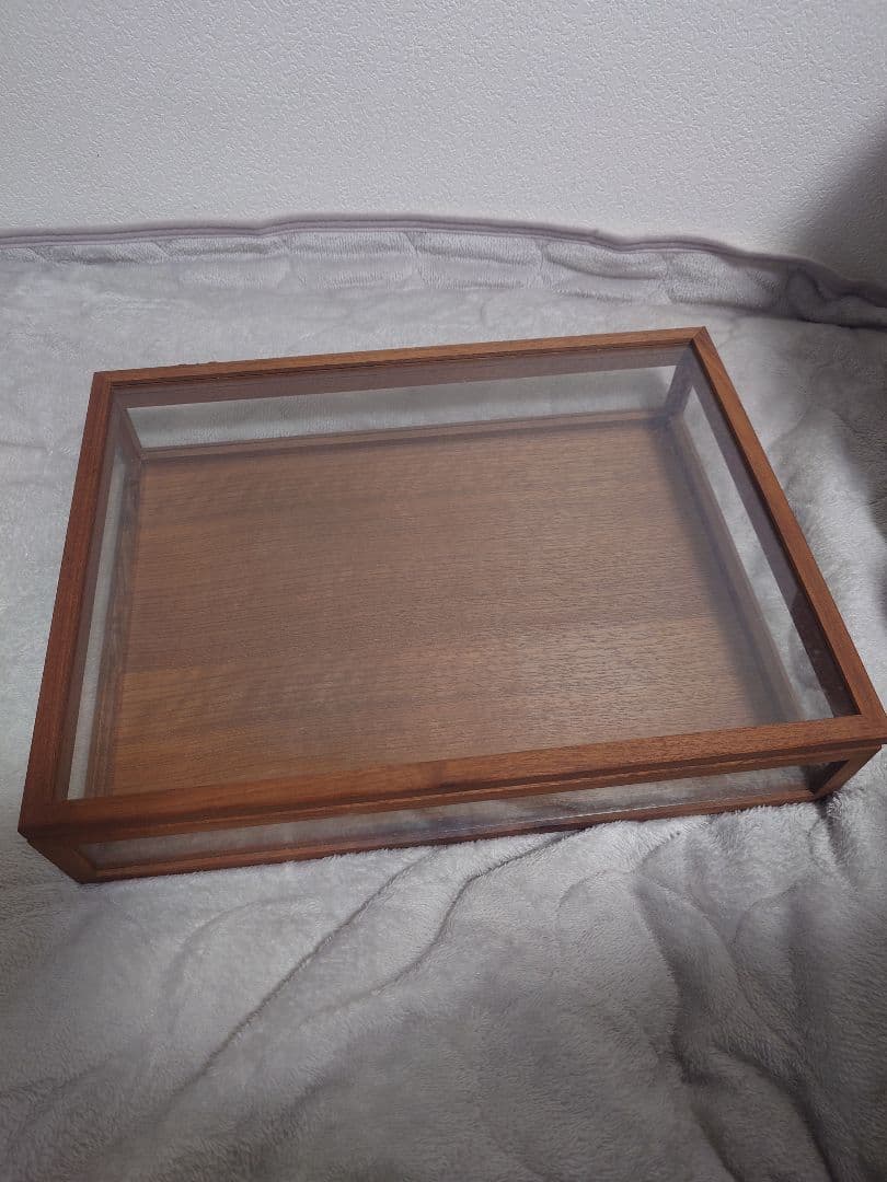 La Luz（ラ・ルース） ガラス ジュエリーボックス 木製　透明標本箱 楽天市場】【次回1/末予定】La Luz（ラ・ルース） ガラス ジュエリー