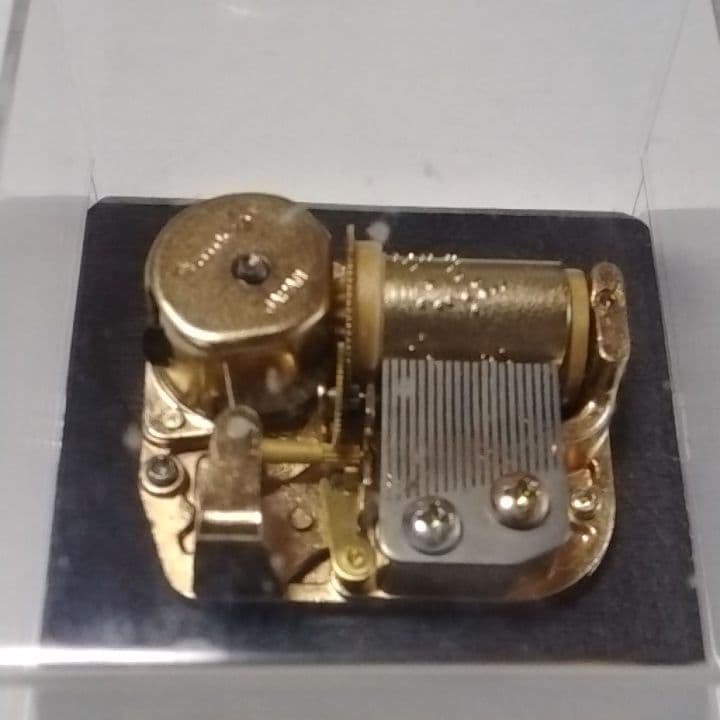 尾崎豊“卒業”  スケルトンオルゴール