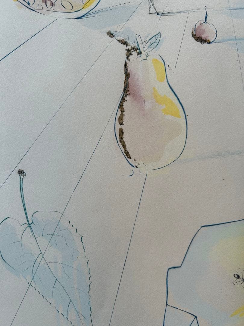 サルバドール・ダリ エッチング ソロモン雅歌 谷の果実」1971年ダリ