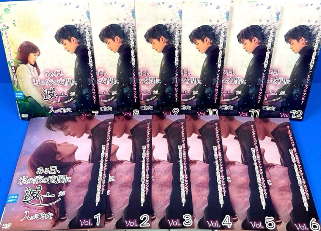 ある日、私の家の玄関に滅亡が入ってきた DVD 全12巻 ソ・イングク