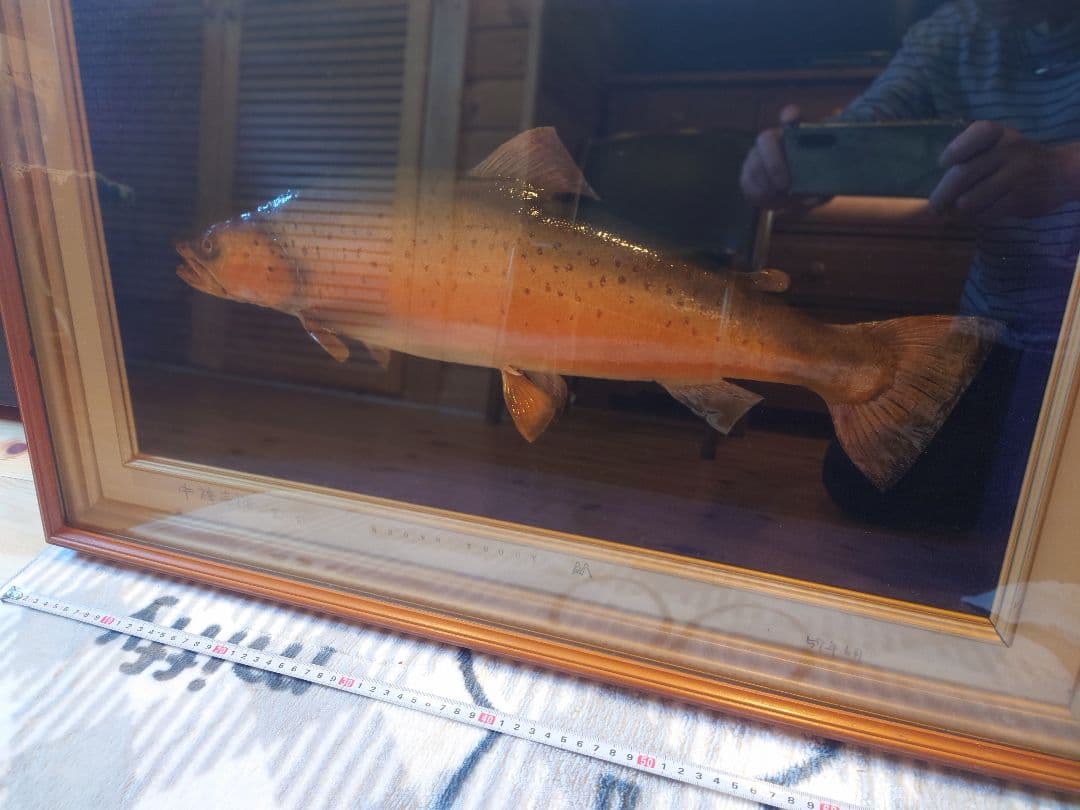 日光中禅寺湖畔 ブラウントラウト 標本 木製フレーム - メルカリ