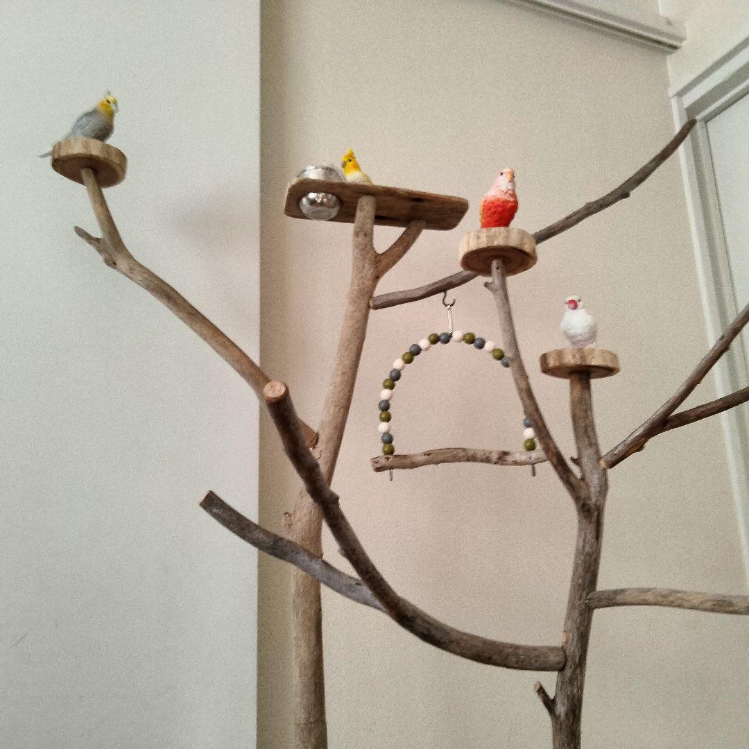 バードアスレチックジム大型 ㊶ 天然木 自然木 流木 インコ おもちゃ