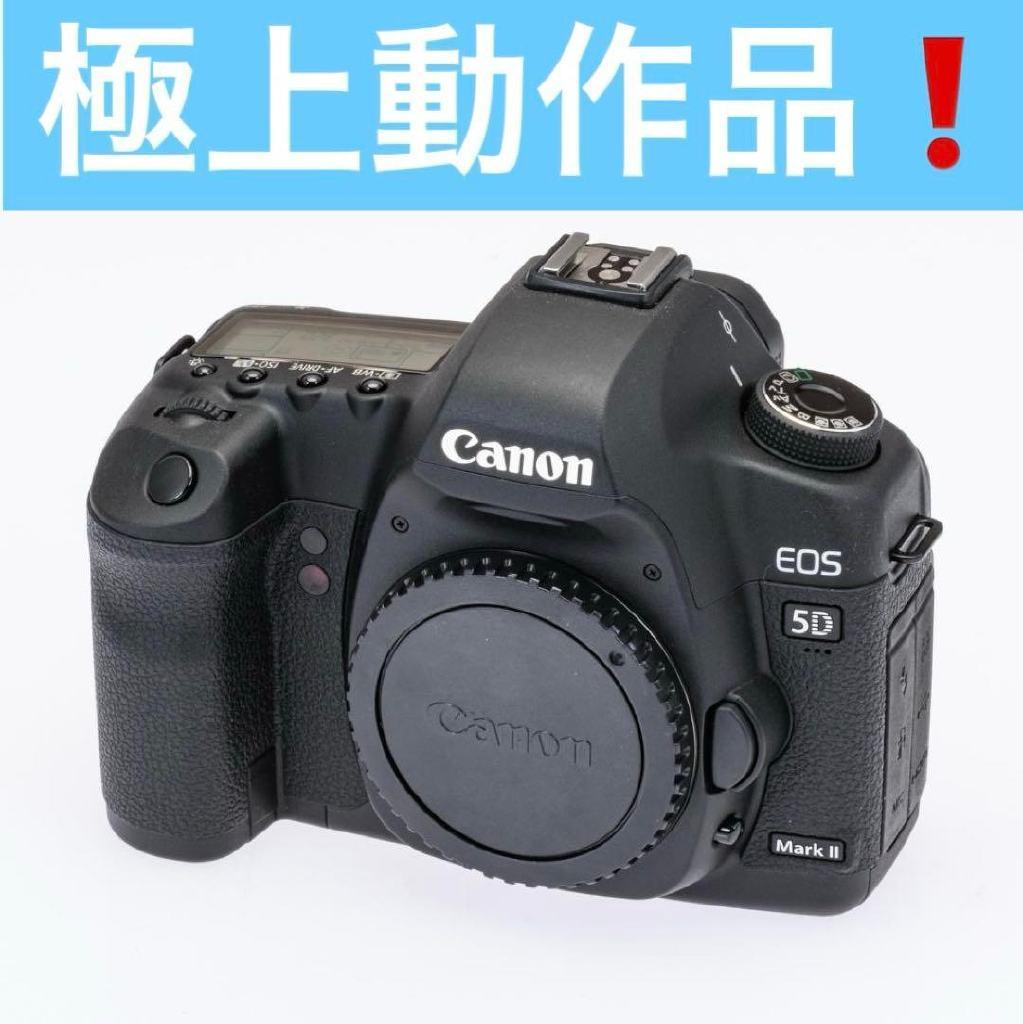激レア！ショット数僅か3583 極上動作品！ Canon 5DMARKⅡ付属品有