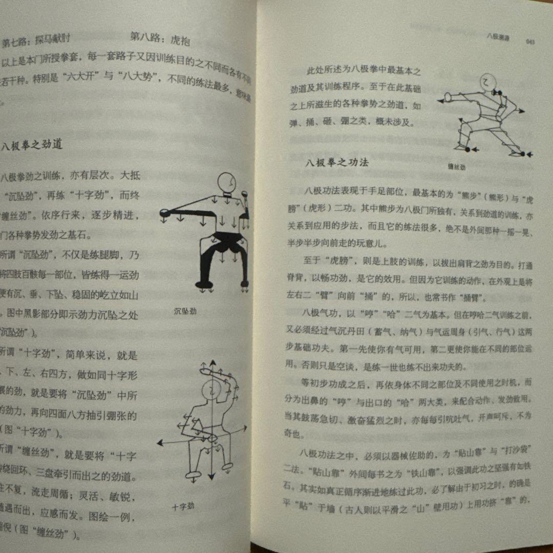 中国武術】八極拳心法 徐紀著 武壇120分練法、840分理論動画（QRコード