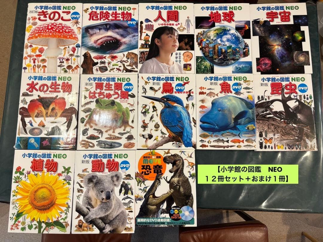 【小学館の図鑑　NEO　１２冊セット＋おまけ１冊】 小学館の図鑑NEO 大むかしの生物 (小学館の図鑑・NEO 12) | 日本古生物