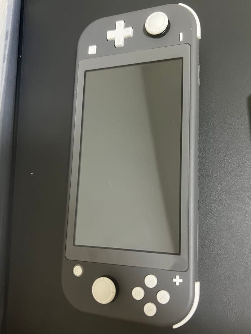 Nintendo Switch Lite グレー 〈液晶不調〉 液晶不良が起こってしまったNintendo Switch lite（ニンテンドー