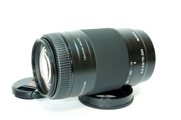 【大望遠レンズ】SONY 75-300mm F4.5-5.6