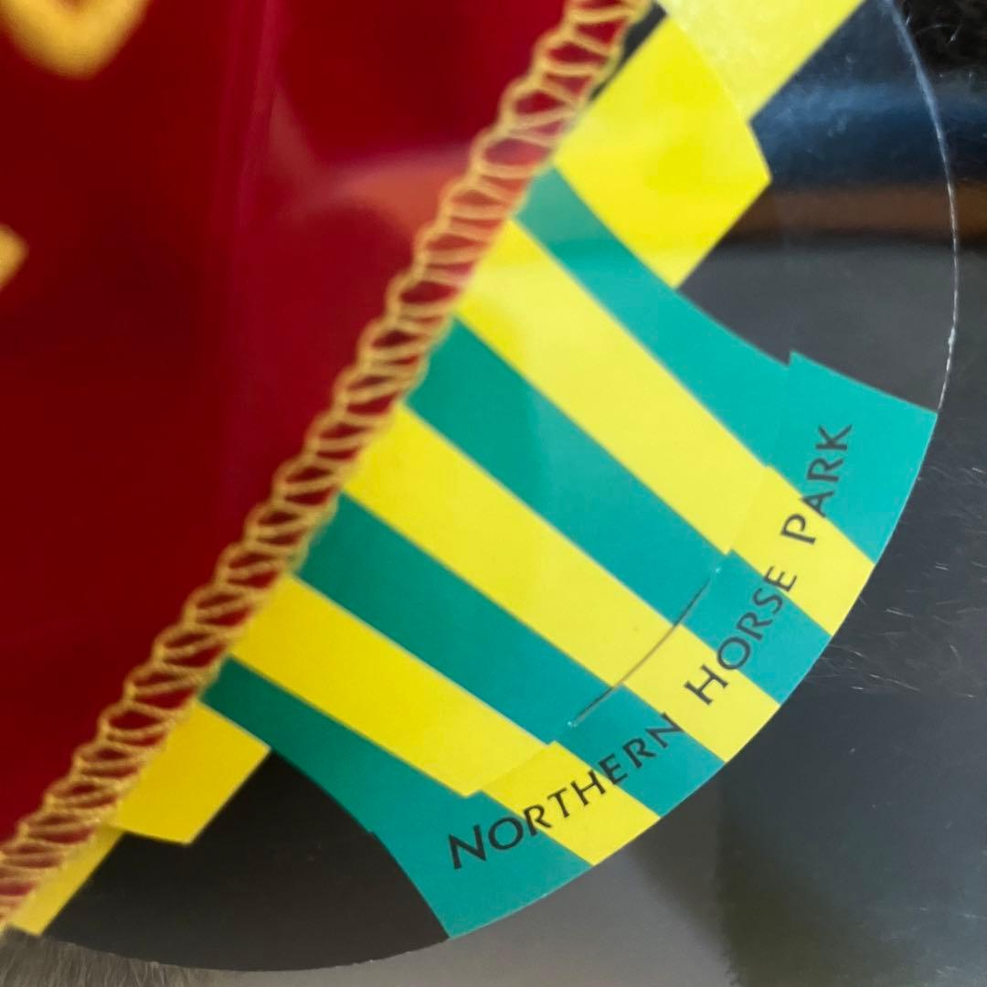 第21回ジャパンカップver.アイドルホースAVANTI ジャングルポケット