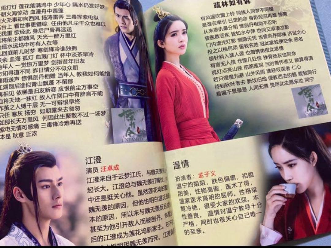 陳情令 肖戦 王一博【陳情未絶】全員集合写真集 珍蔵版 - メルカリ