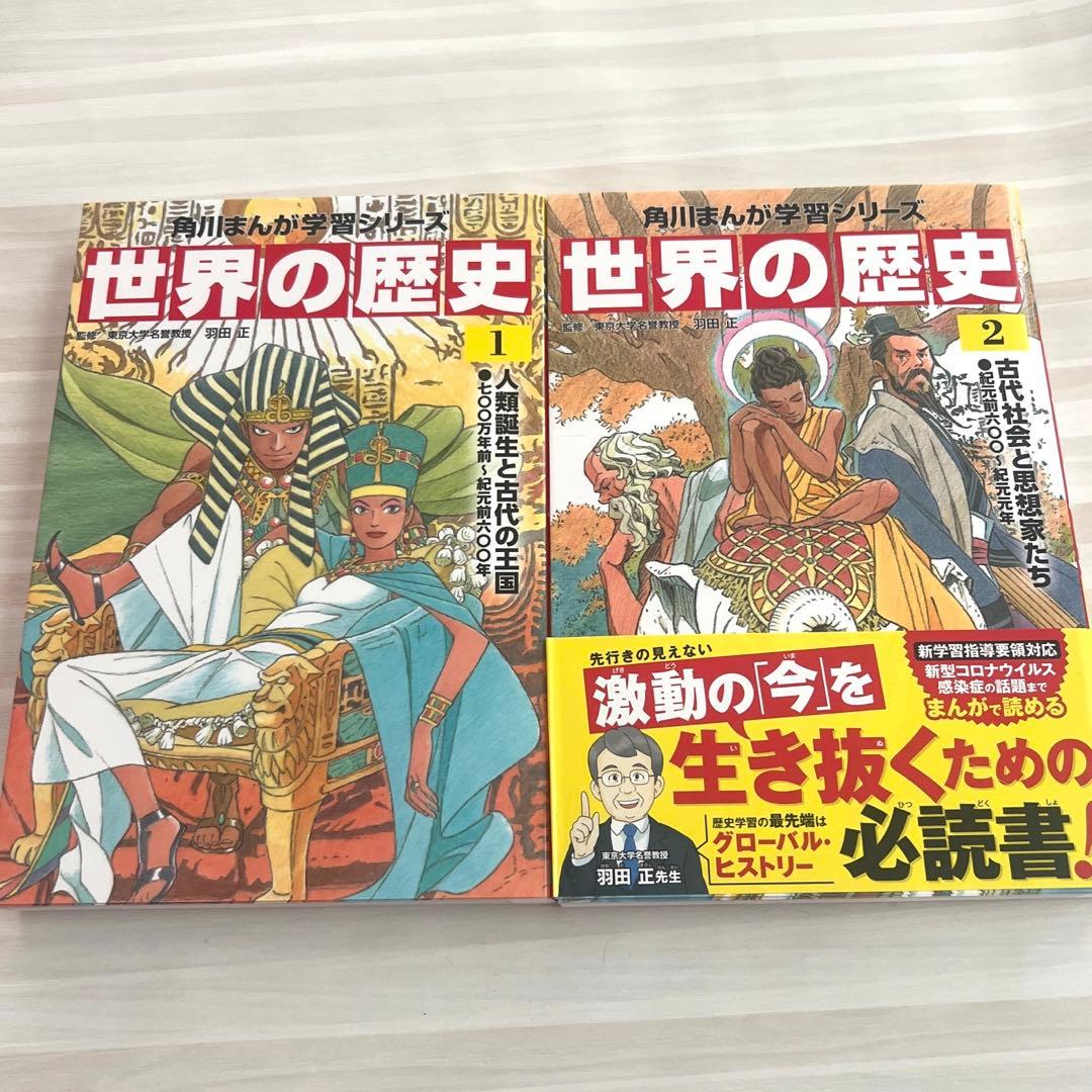 世界の歴史1-20巻全巻セット 角川まんが 学習シリーズ - メルカリ