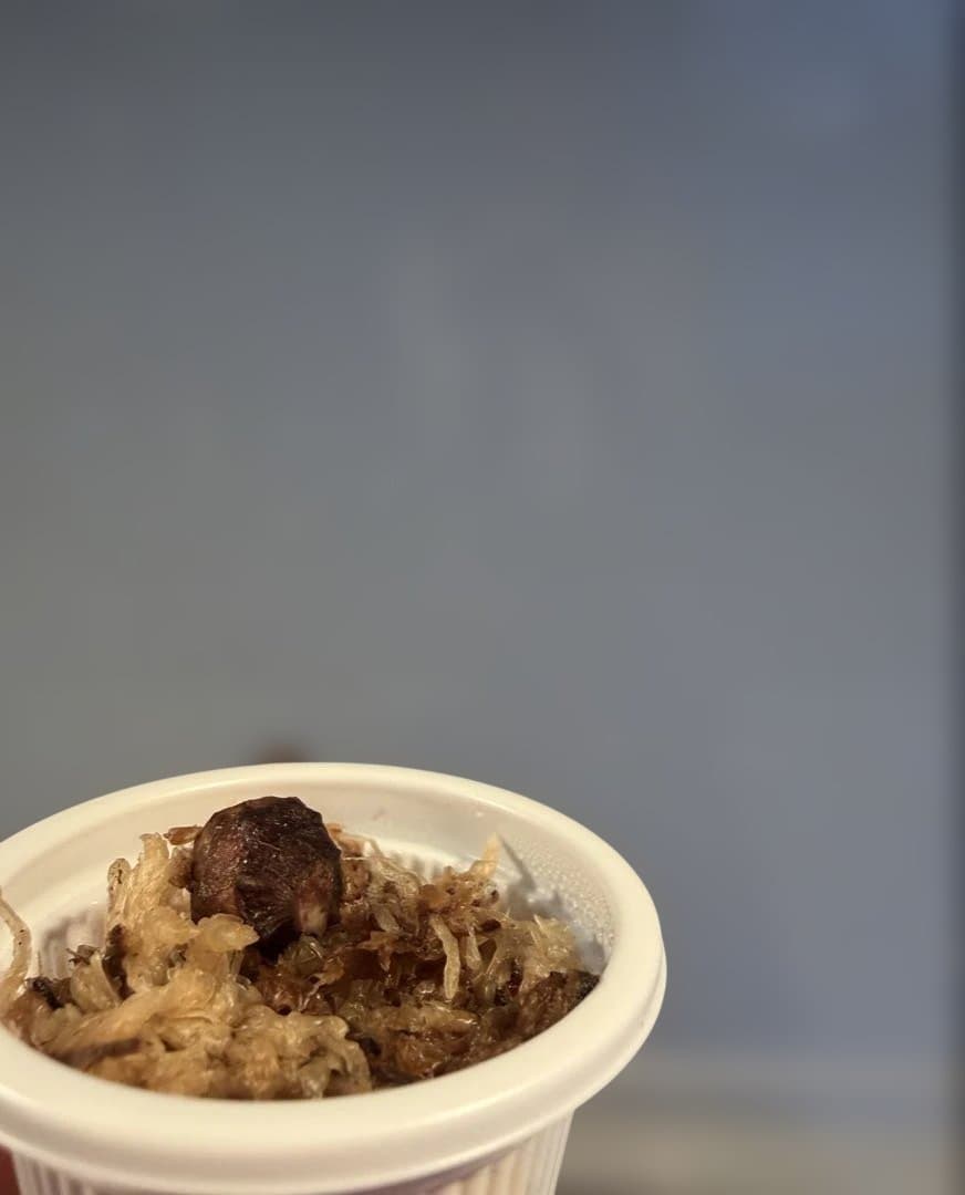 ラスト アロカシア アズラニー 斑入り 芋 ①番 - メルカリ