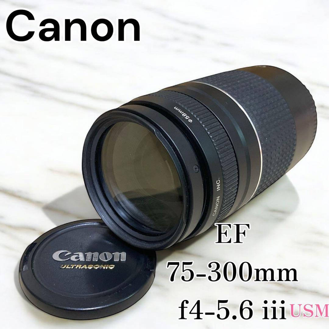 Canon EF 75-300mm f4-5.6 iii USM ズームレンズ Canon EF 75-300mm f/4-5.6 III Telephoto Zoom Lens for Canon SLR