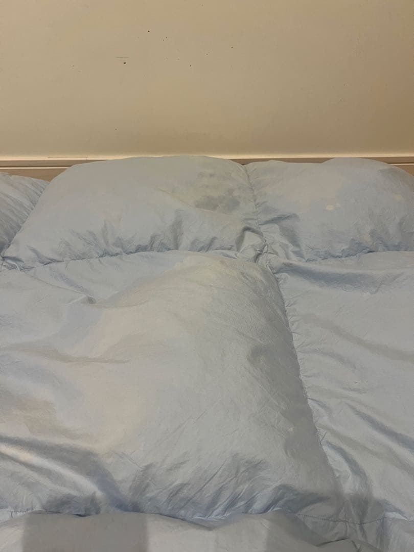 ポーランドグースダウン90% ドイツ製「セダウナ」　シングル 1.1k 軽量