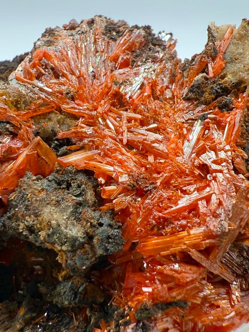 クロコアイト　紅鉛鉱　原石　鉱物　標本　天然石　石 最高品質紅鉛鉱（(Crocoite)クロコアイト、PbCrO₄)) Adelaide Mine