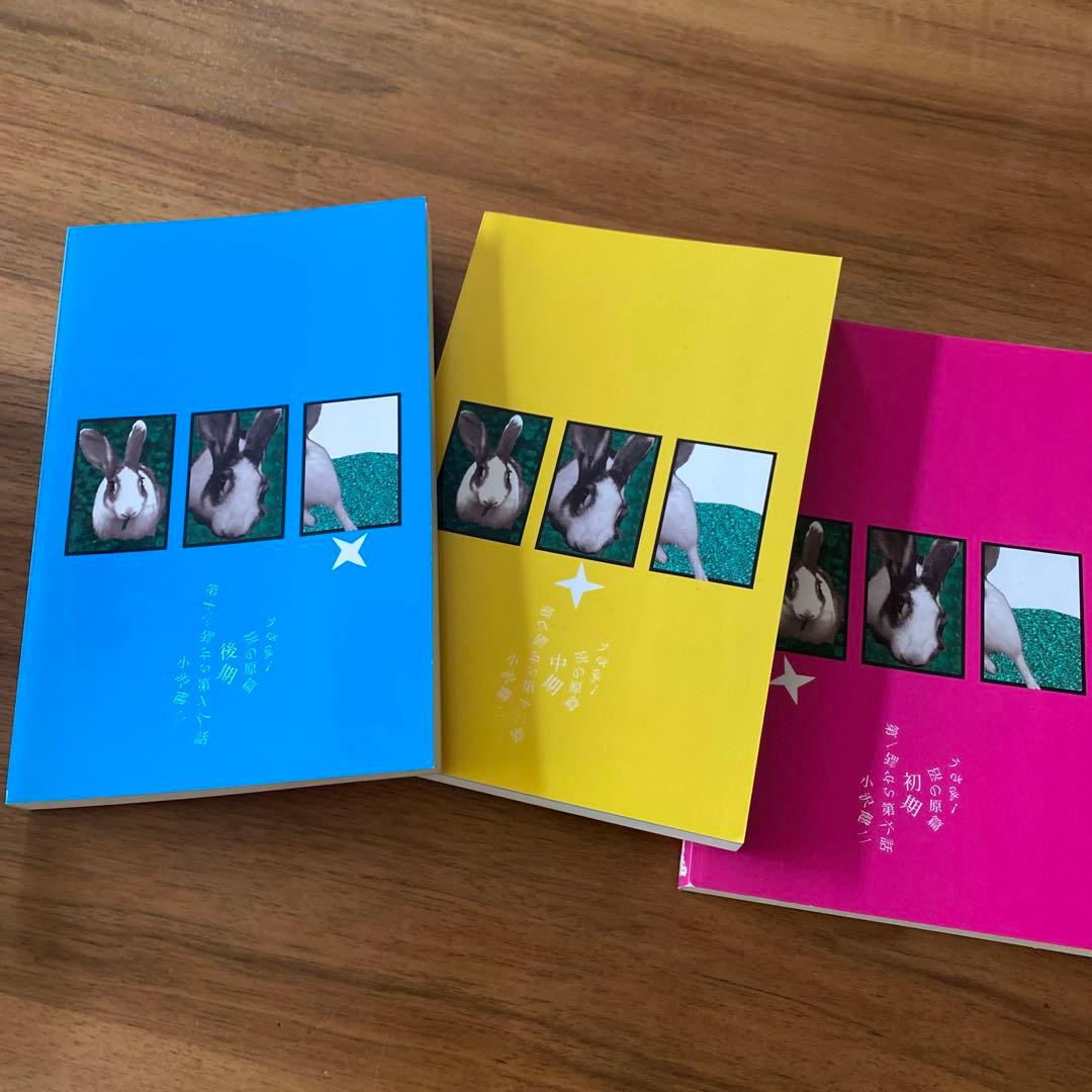 小沢健二 うさぎ！ - メルカリ