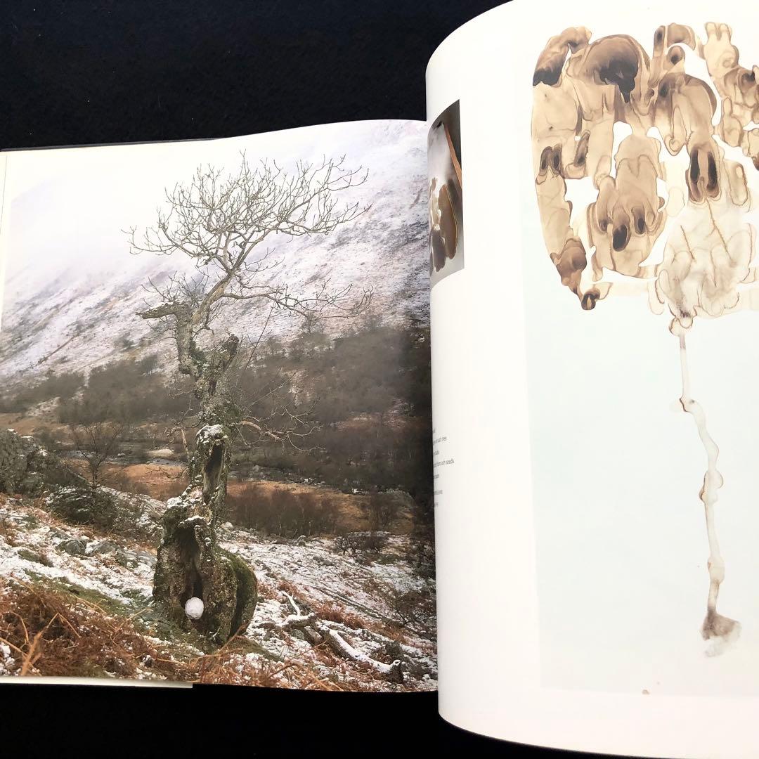 アンディー・ゴールズワージー 作品集「Wood」Andy Goldsworthy - メルカリ