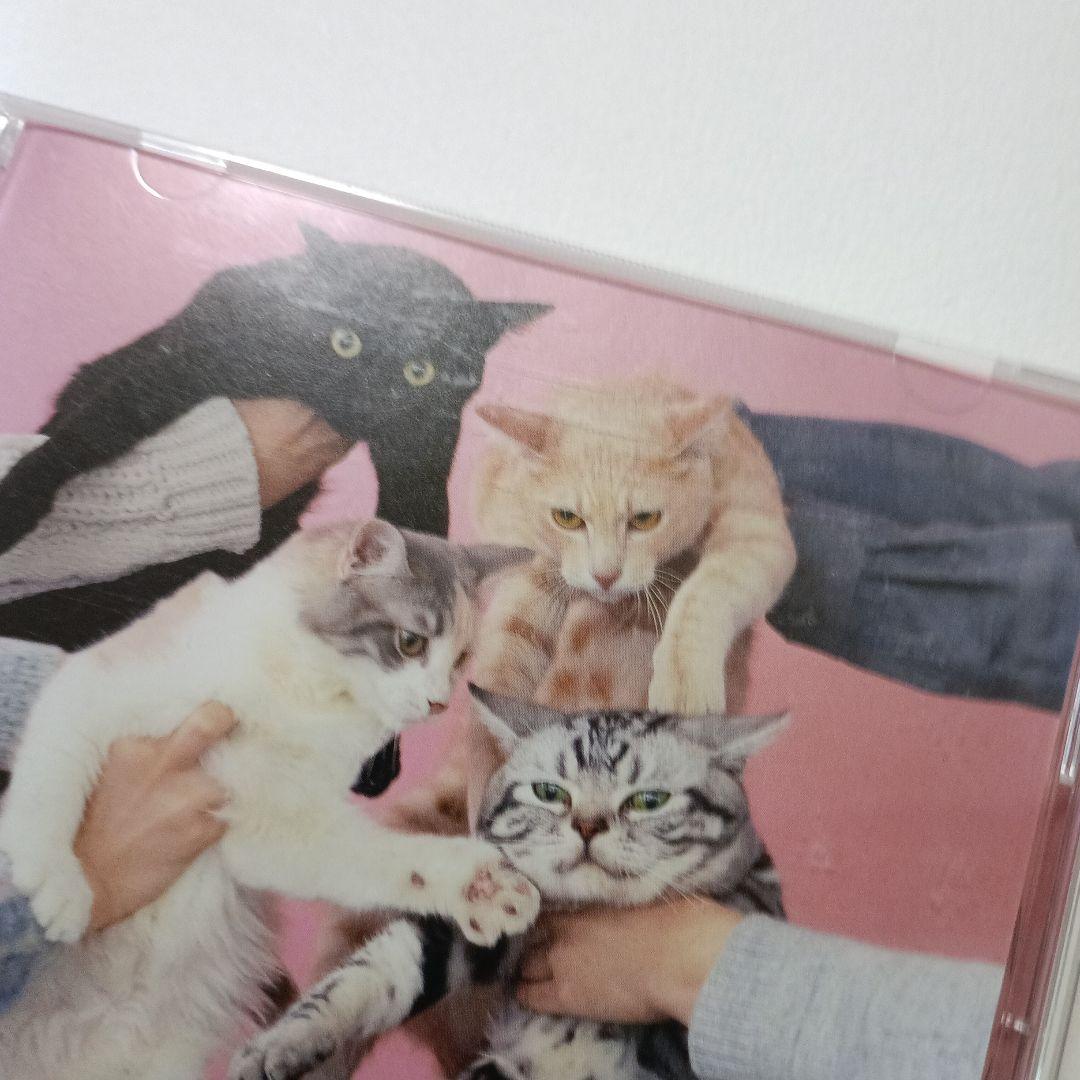 きのこ帝国 アルバムCD「猫とアレルギー」 - メルカリ