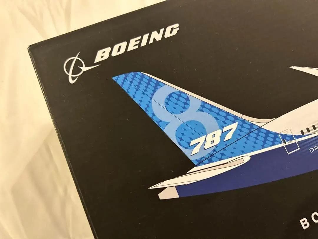 美品】PACMIN / パックミン｜B787-8 ドリームライナー｜1/144 - メルカリ