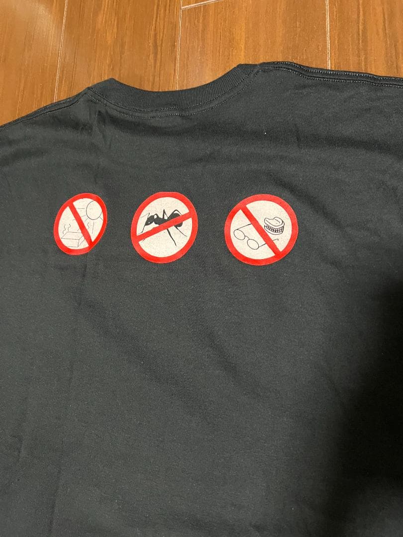 ゼムセルブズ Themselves Tシャツ L ブラック バンドT ゼムセルブズ