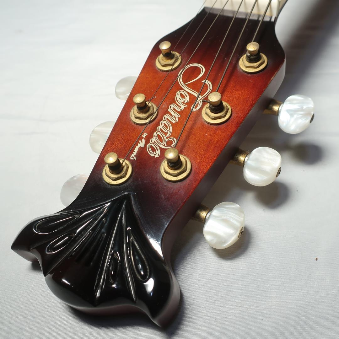 トルネード Z2 エレアコ レザーケース付 Morris Tornado ZⅡ www