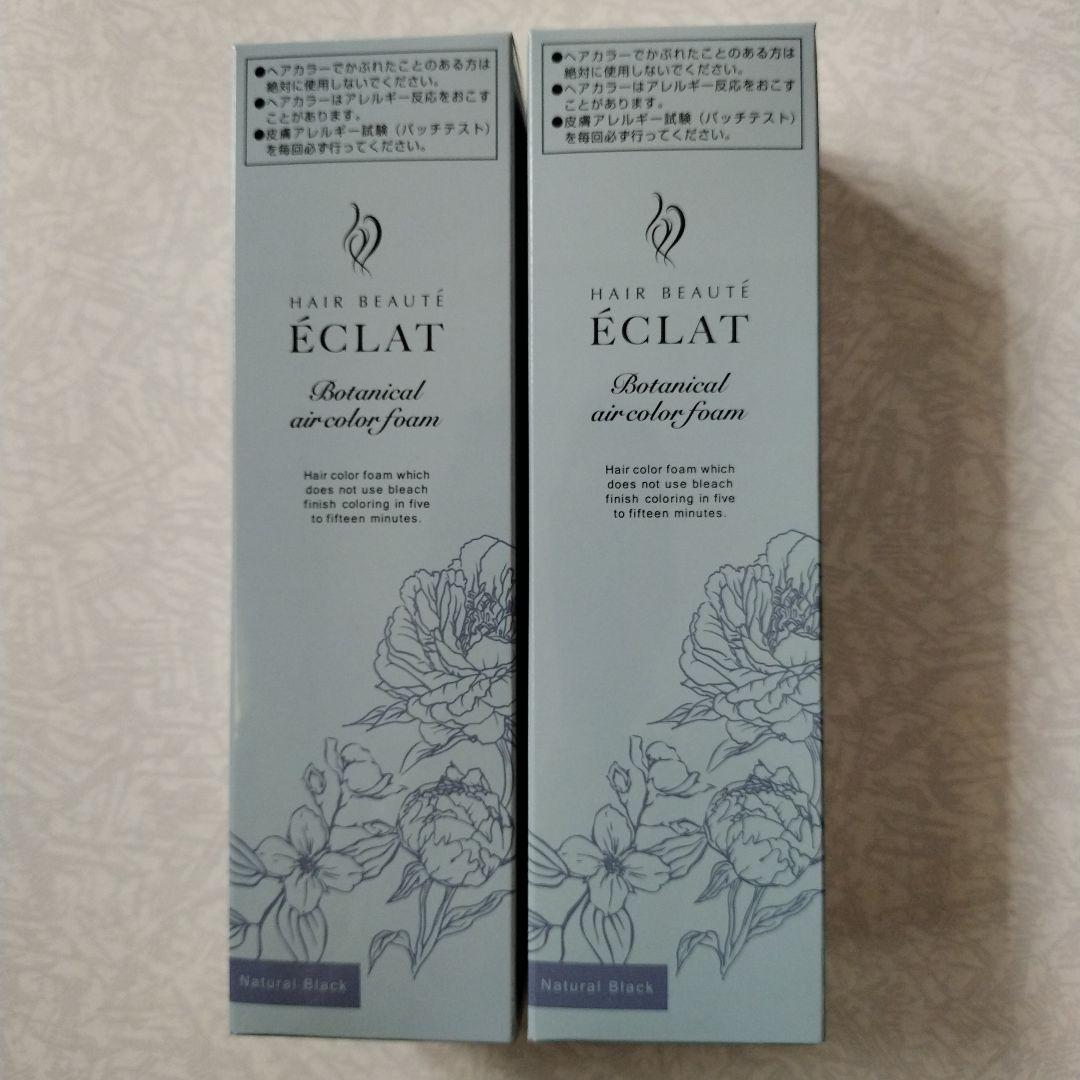 ÉCLAT エアカラー フォームup 150g２本セット ヘアボーテエクラボタニカルエアカラーフォームup3本P付特別セット