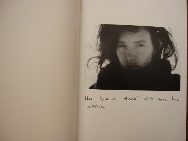 The Birds Didn't Die over the Winter - アート・デザイン・音楽卸売 通販