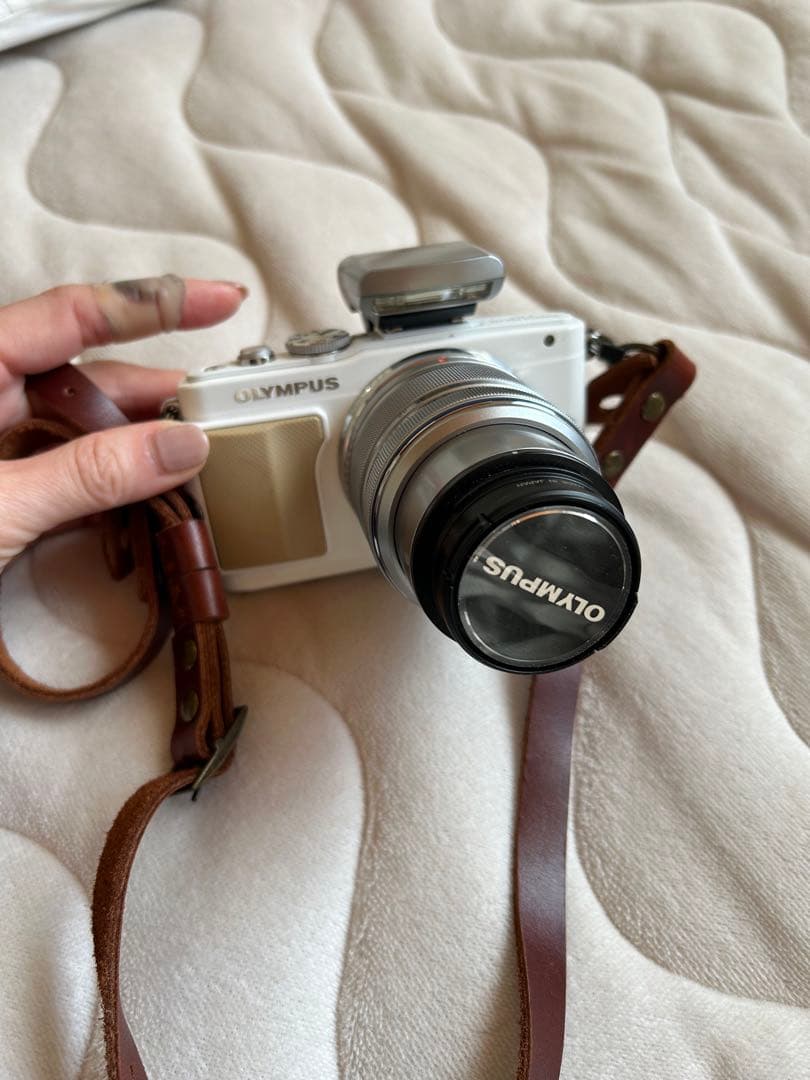 オリンパス　ミラーレスカメラ オリンパスが「小型・軽量」ミラーレスを極める｜ニュースイッチ by