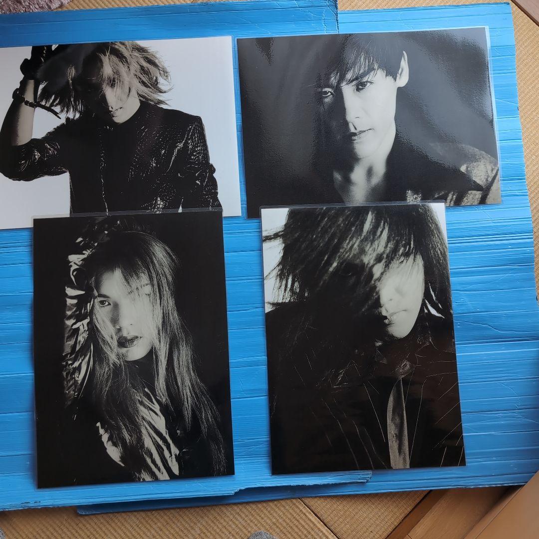 Luna Sea(ルナシー) 特大ラミネートフォトカード - メルカリ