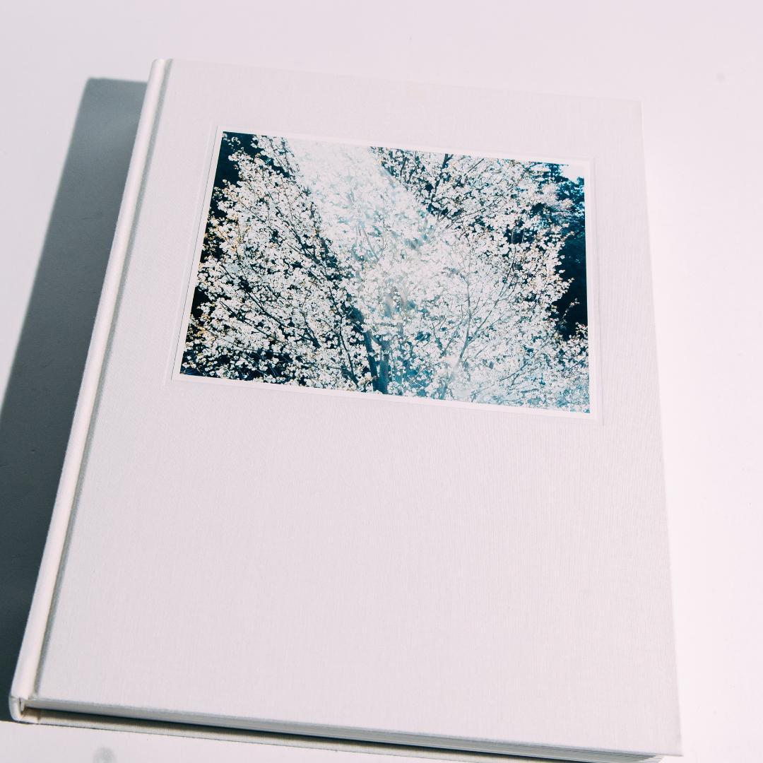 鈴木理策「Stream of consciousness」写真集 editionnord